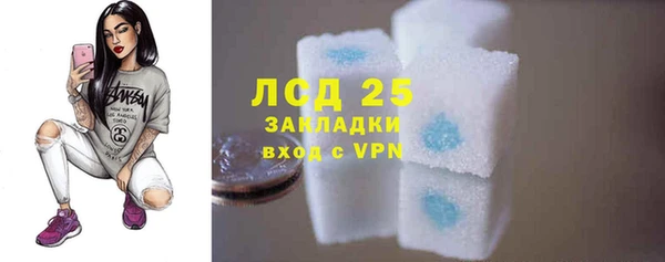 PSILOCYBIN Армянск