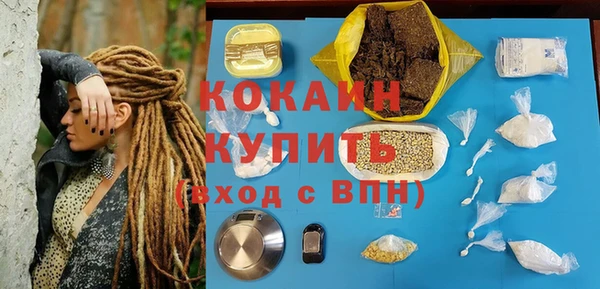 PSILOCYBIN Армянск