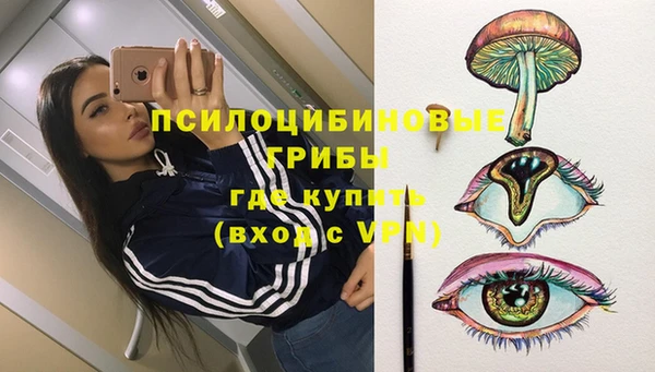 ГАЛЛЮЦИНОГЕННЫЕ ГРИБЫ Арсеньев
